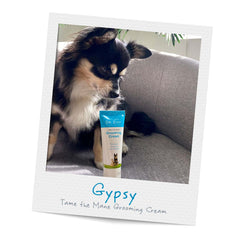 Gypsy Tame the Mane Grooming Cream