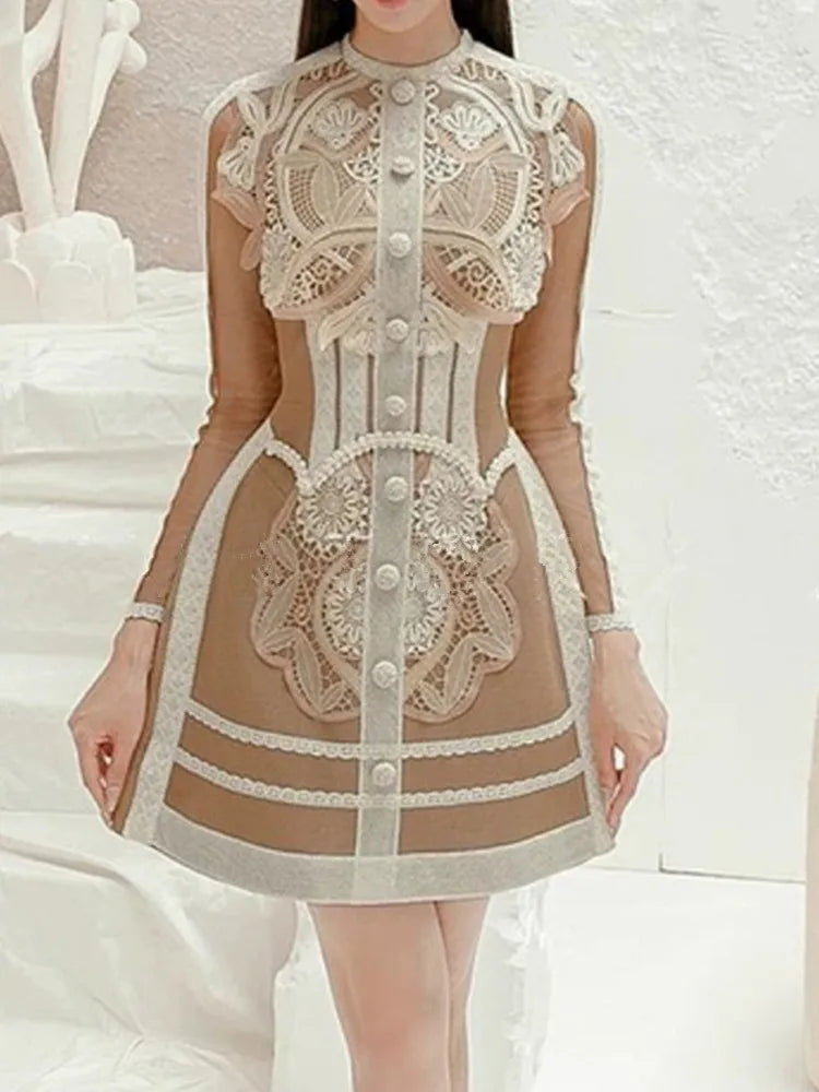 Elegant Vintage Lace Mesh Long Sleeve Dress