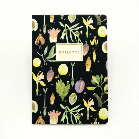 Bruno Visconti notebooks
