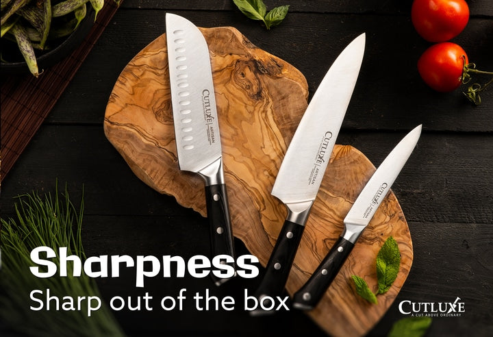 ✓ Top 5 Best Turkey Carving Knife 