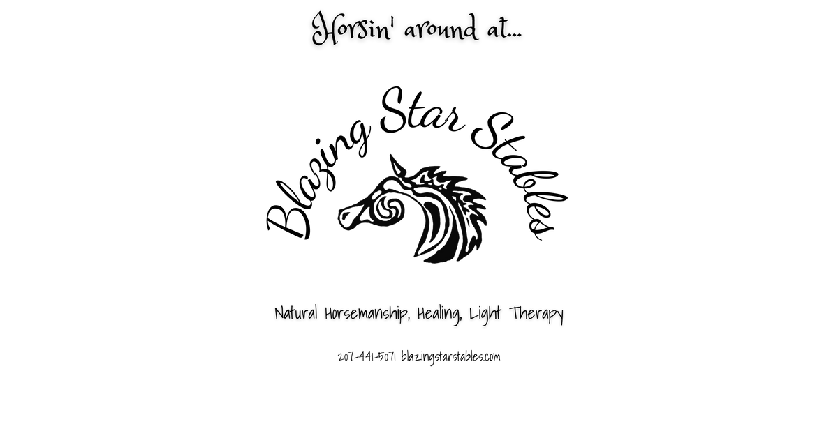 blazing-star-stables.myshopify.com