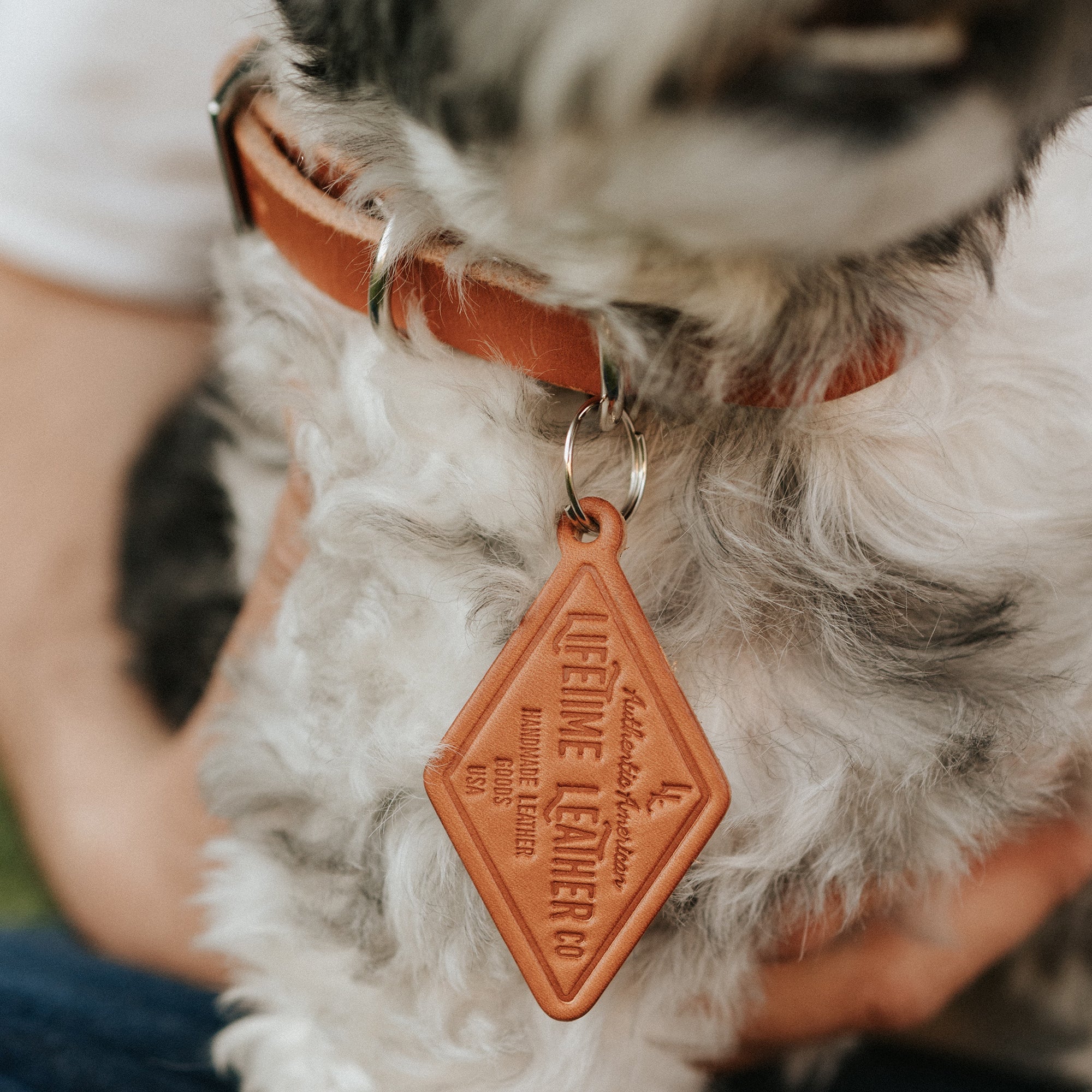 Leather Dog Collar - Classic by Lifetime Leather Co