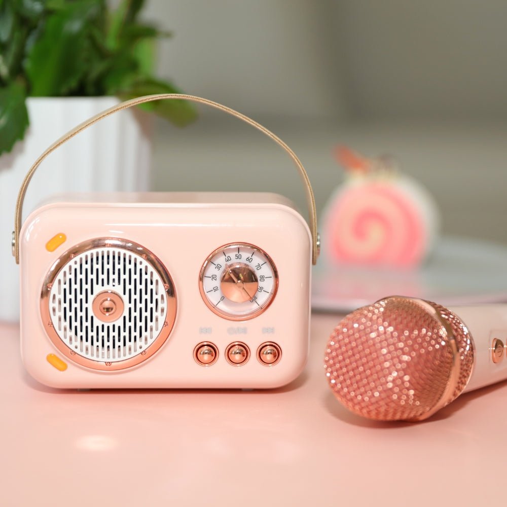 On-the-Go Mini Karaoke Machine by Multitasky