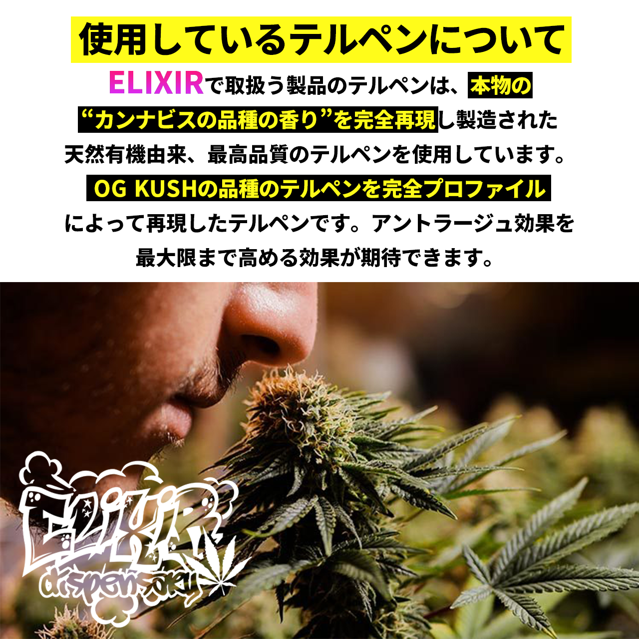 1ml】高濃度 CBD リキッド 天然大麻由来テルペン配合 CRDP CBN