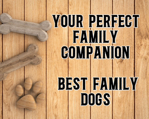 Discover Your Perfect Family Companion: Best Family Dogs