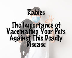 As a parent and a proud member of the Weaver Family Farms Puppies community, I understand the importance of keeping our furry family members safe and healthy. On World Rabies Day, it's crucial to highlight the significance of vaccinating pets against rabies, a deadly disease that poses a threat not just to animals but also to humans.  The Threat of Rabies Rabies is a viral disease that affects the nervous system of mammals, including dogs and humans. It's usually transmitted through the bite of an infected animal. The disease is almost always fatal once symptoms appear, but it's preventable through vaccination.  Vaccination: A Key Preventive Measure At Weaver Family Farms Puppies, we emphasize the importance of regular vaccinations for all pets. Rabies vaccinations are not only a critical step in protecting your pets but also a legal requirement in many areas. Vaccinating your pets against rabies is an effective way to prevent the spread of this deadly virus.  Our Commitment to Pet Health On our farm, we raise Cavapoos, Cockapoos, miniature Poodles, and Maltipoos with the utmost care and attention to their health and well-being. We ensure that all our puppies receive appropriate vaccinations, including rabies, to provide them with a healthy start in life. Our commitment to pet health extends beyond our farm, as we encourage all pet owners to stay up-to-date with their pets' vaccinations.  Conclusion: Protecting Our Pets and Communities World Rabies Day serves as a reminder of the responsibility we have as pet owners to vaccinate our pets against rabies. It's a simple yet vital step in protecting not only our beloved animals but also our families and communities. Let's all do our part in the fight against rabies by ensuring our pets are vaccinated and healthy.  For more information on pet care and to see our adorable puppies, visit Weaver Family Farms Puppies. Let's work together to keep our furry friends safe and healthy! 🐶💉🌍