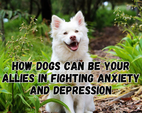 can dogs help anxiety and depression?