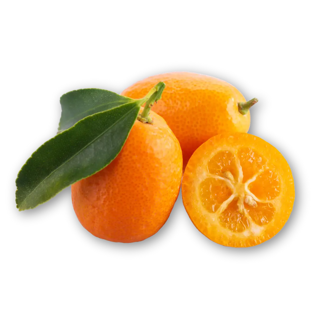 Kumquat