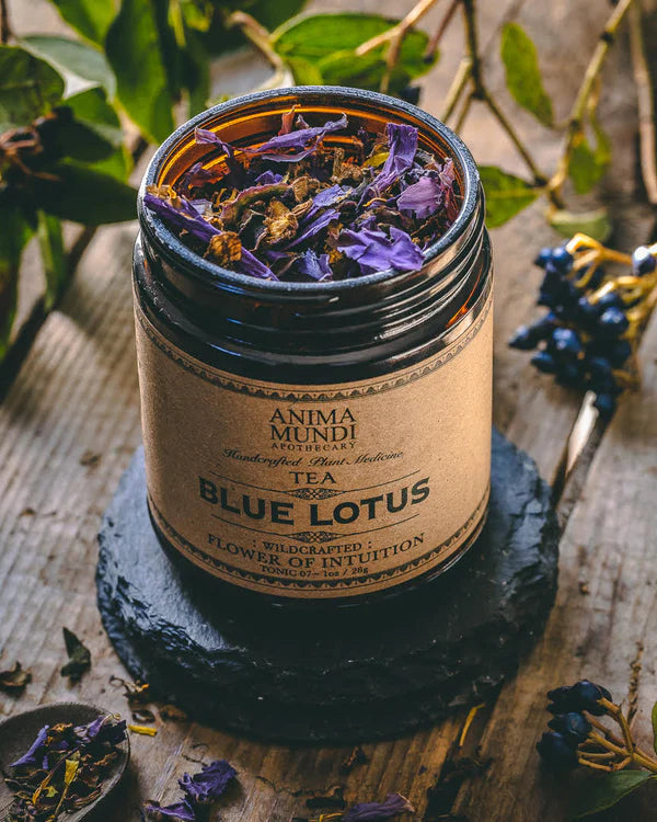 Anima Mundi BLUE LOTUS Wildcrafted Tea