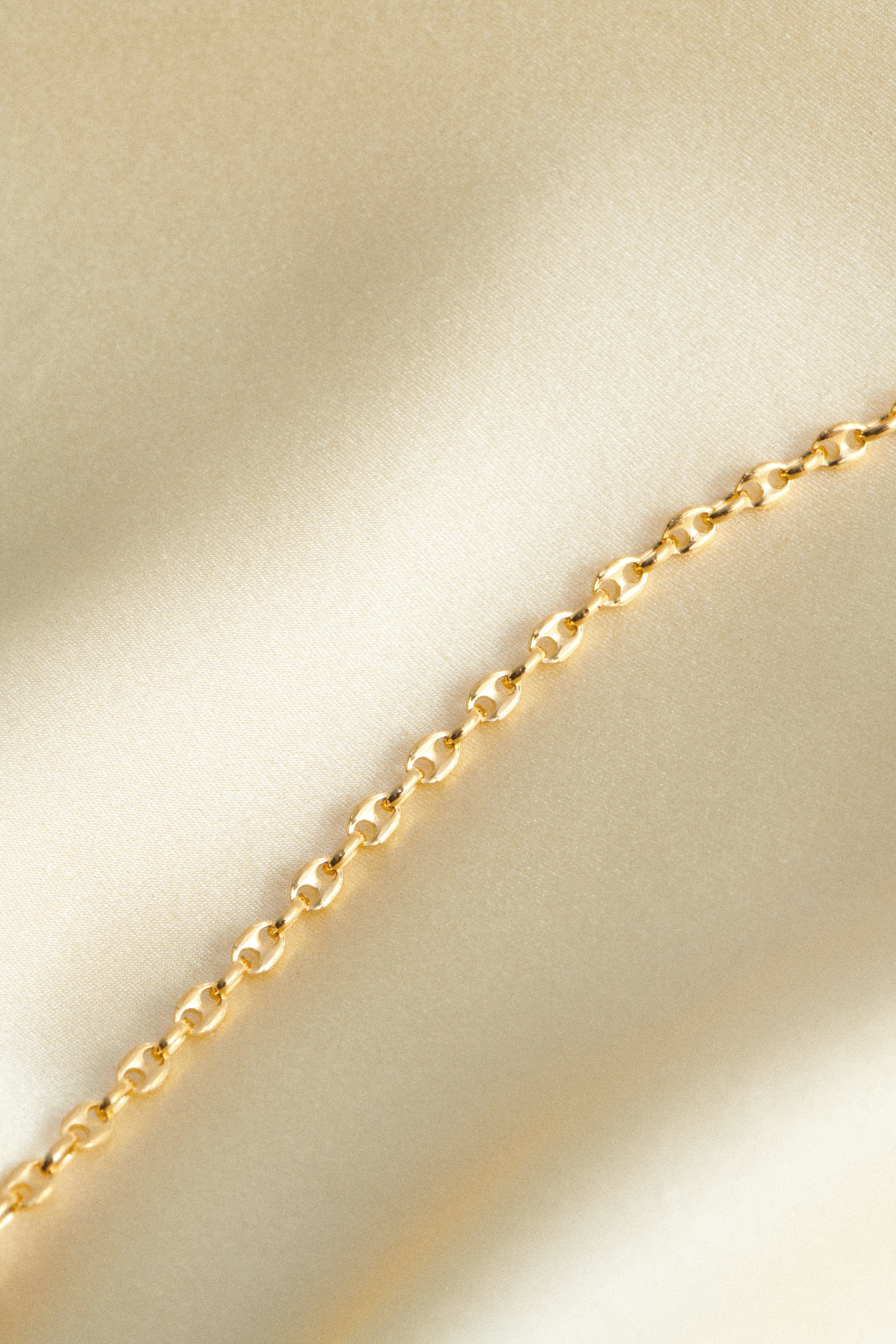 18k Gold Essential Chain | Sophie Buhai