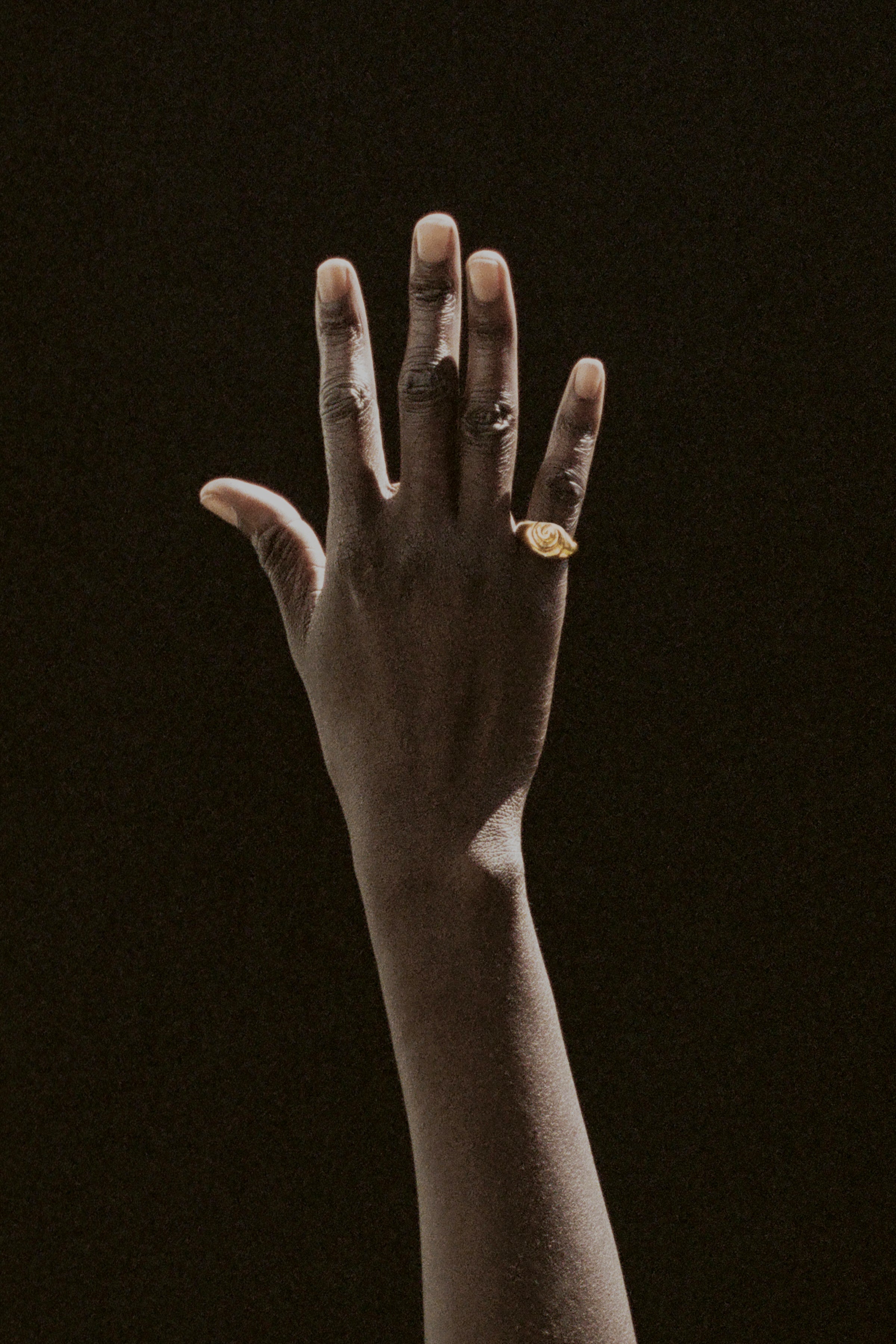 Small Nautilus Ring | Sophie Buhai