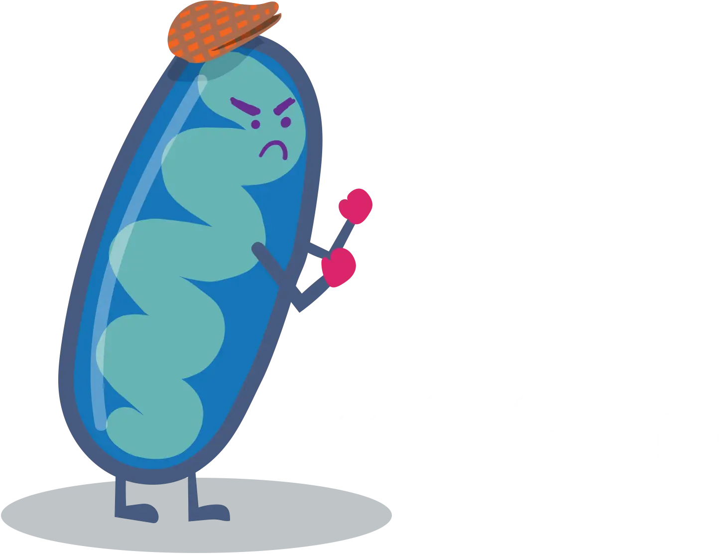 Free-O-Charge-HOP-BOX@2x.webp__PID:7450ad99-e11d-4038-b197-2d1f8135aaee