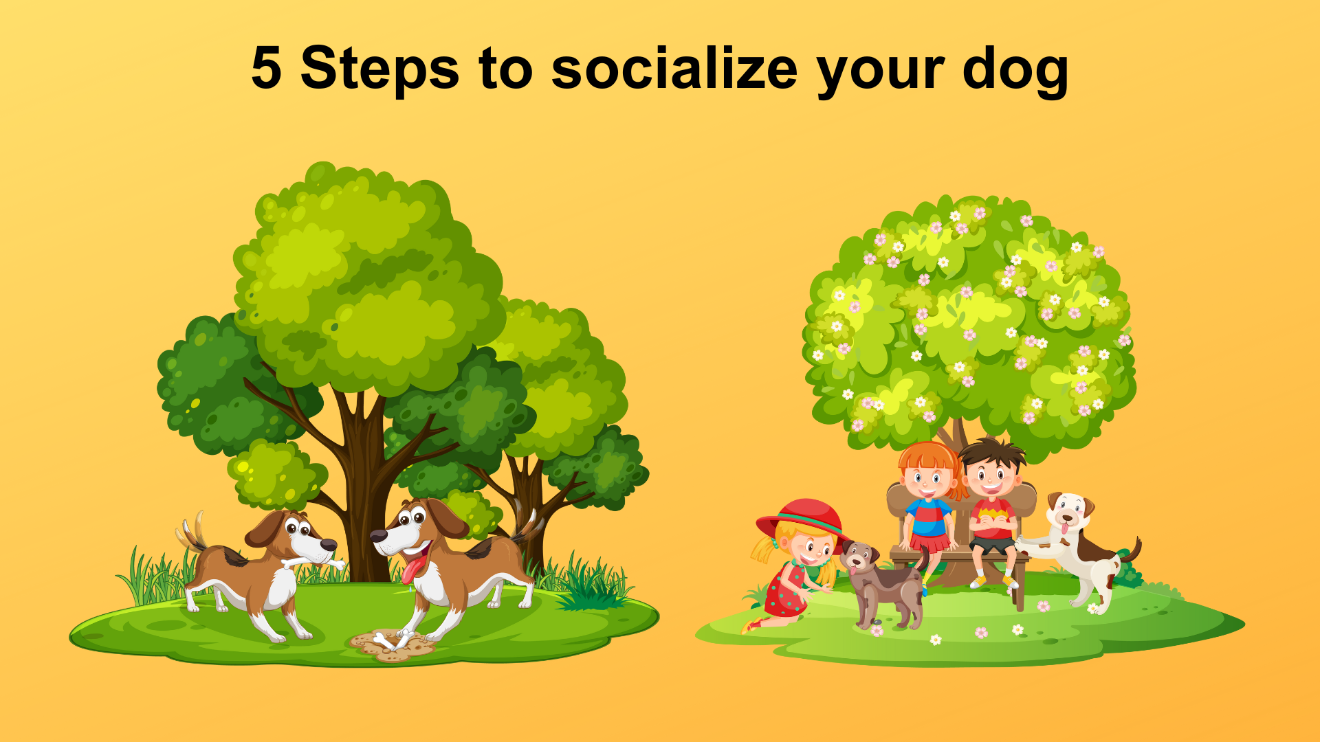 5 Steps to socialize your dog