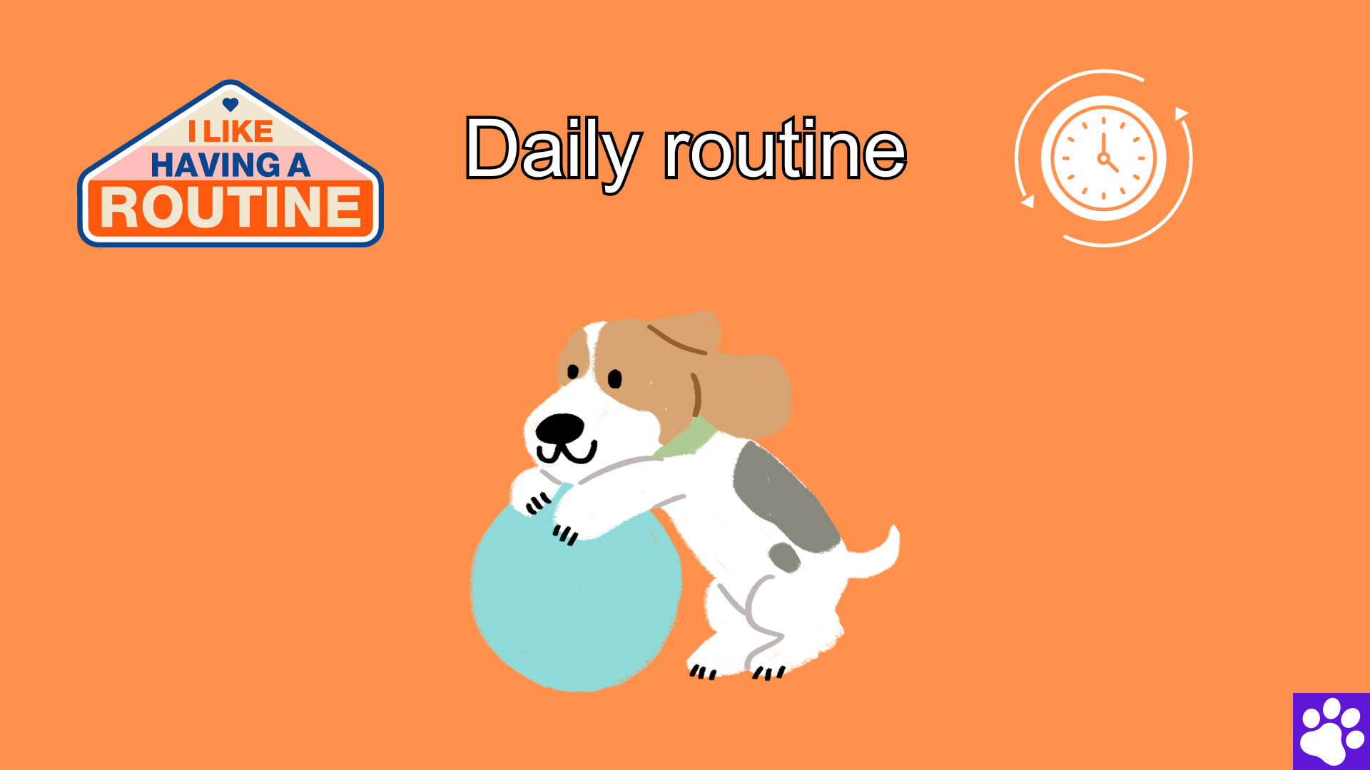 Daily routine for a puppy