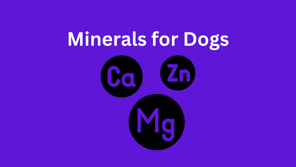 Minerals for Dogs