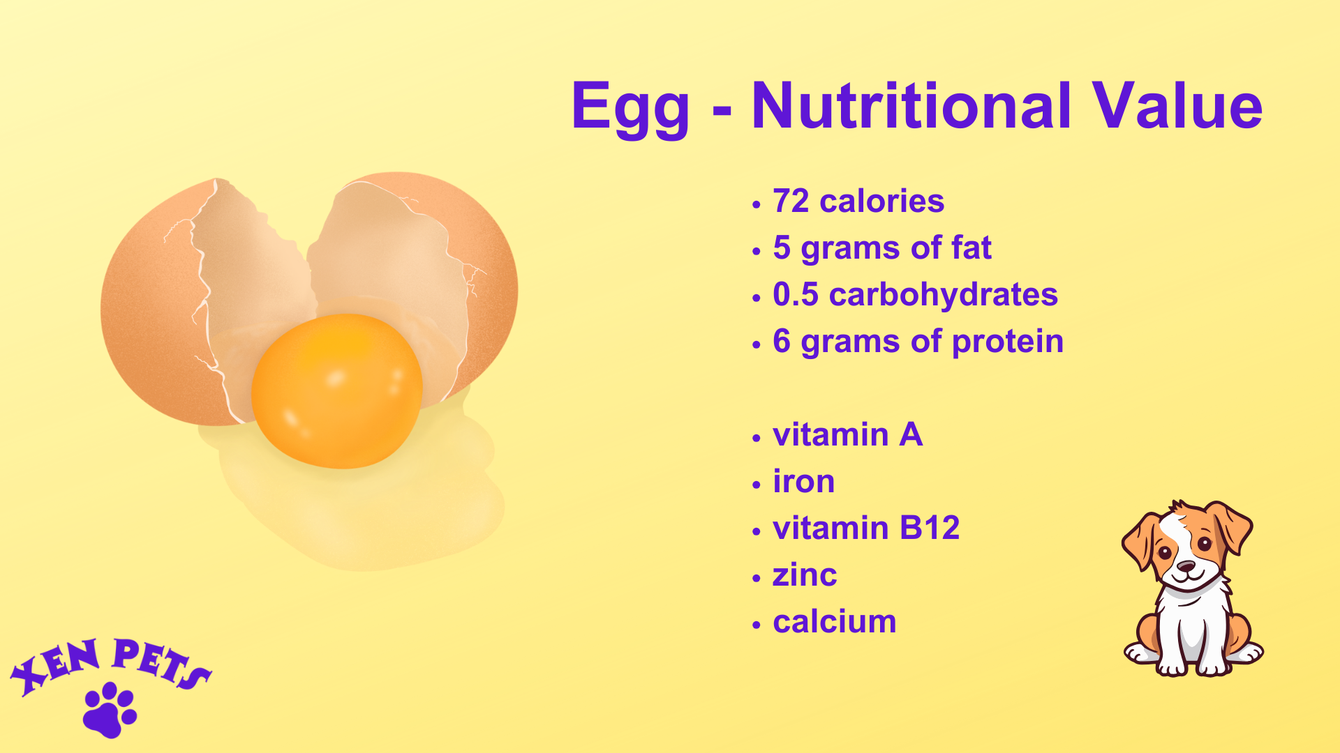 Nutritional value of eggs for dogs