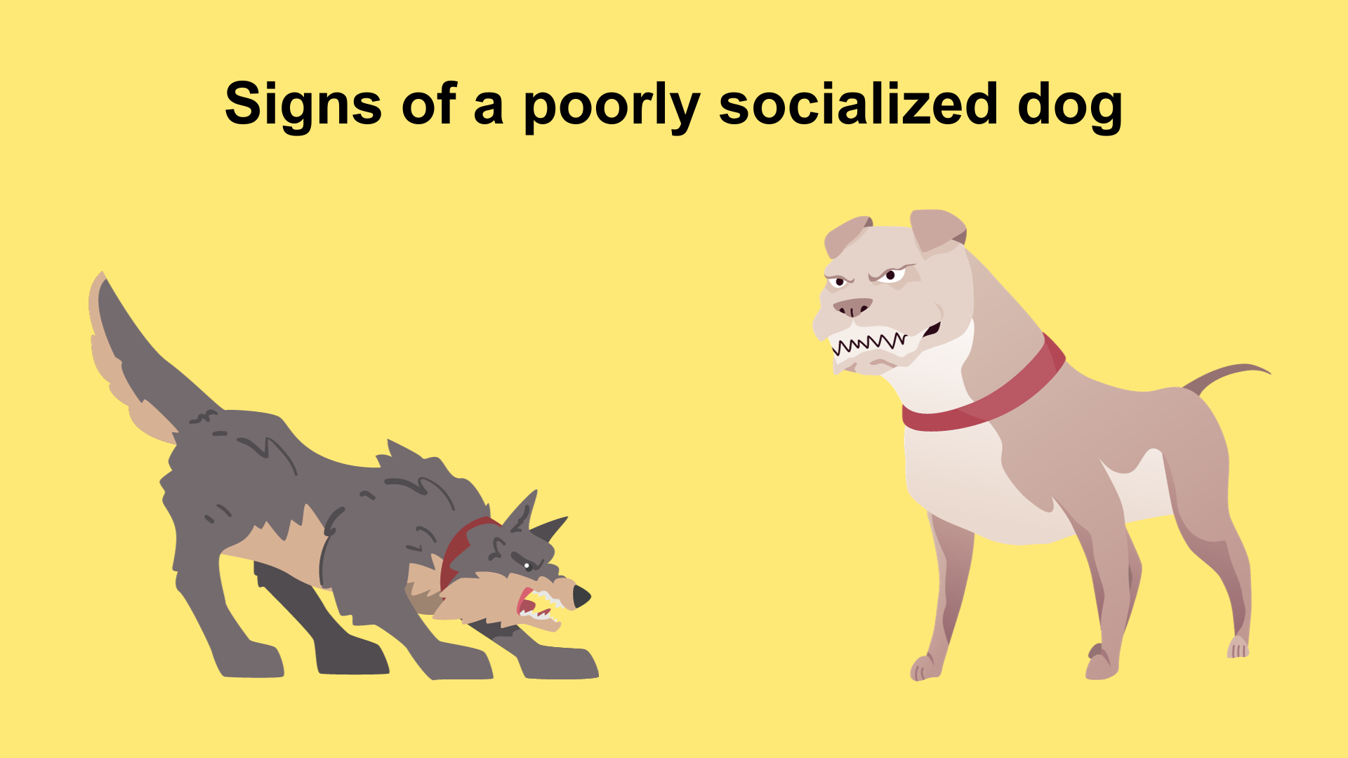 Signs of a poorly socialized dog