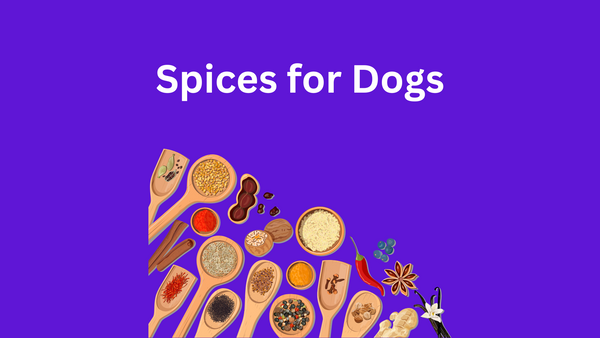 Spices for Dogs