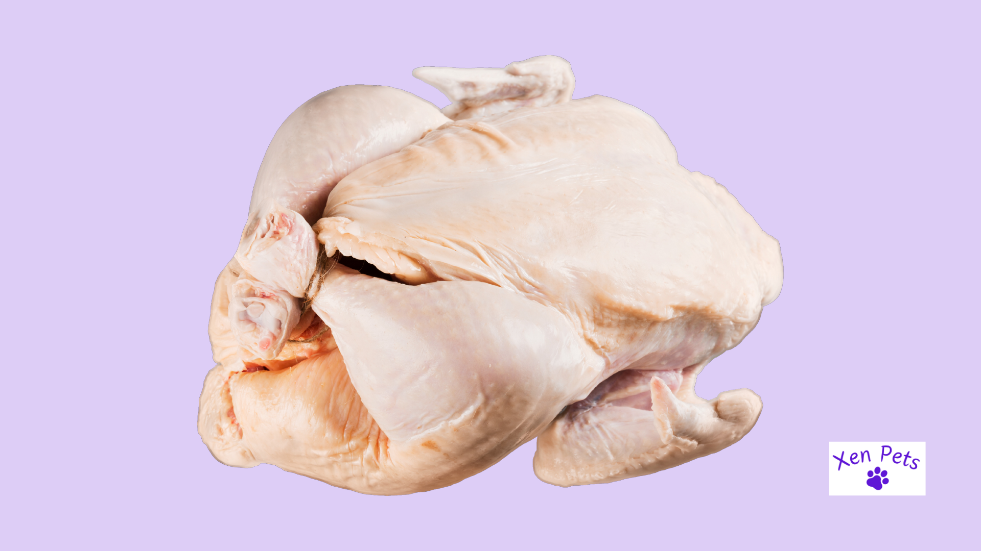 Turkey is a novel protein for dogs.