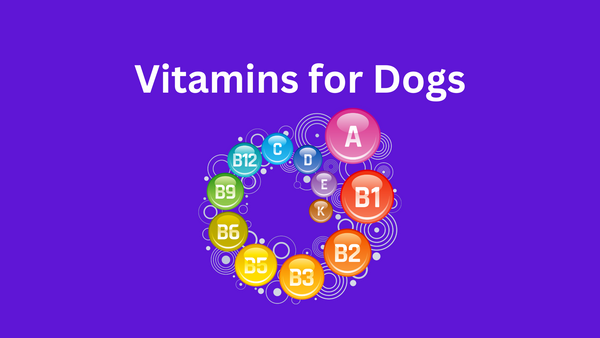 Vitamins for Dogs