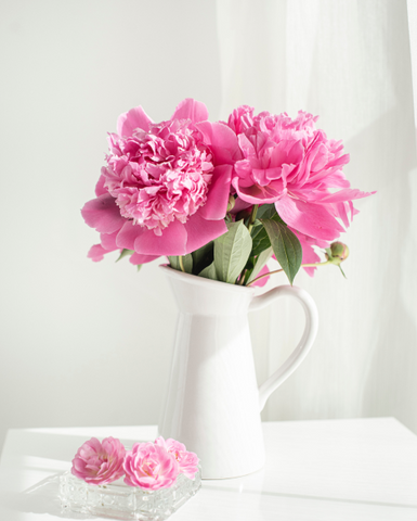 A white vase with pink roses arranged in a simple and elegant manner.