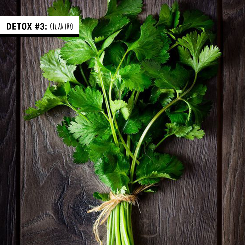 Detox with Cilantro