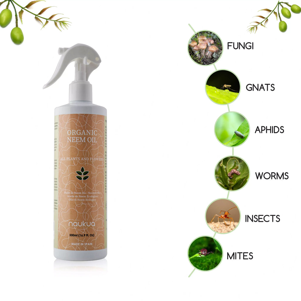 NO uses ACEITE DE NEEM en tus plantas sin conocer el riesgo de utilizarlo.  Experiencia Personal 