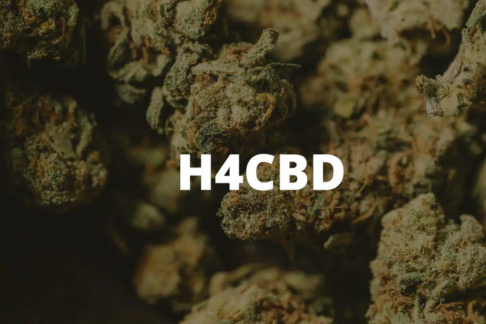 H4CBD