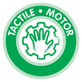 tactile and motor