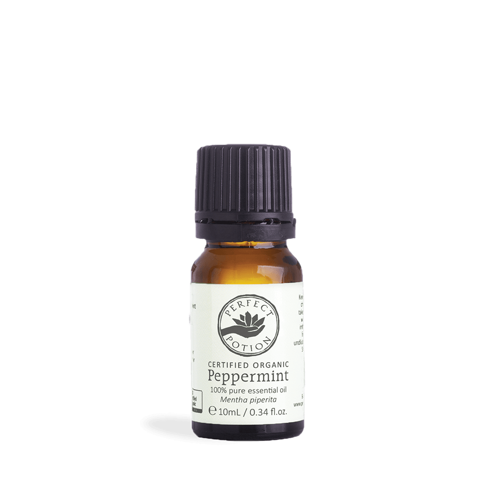 Blue Chamomile Essential Oil (German Chamomile) 1ml/30 Drop, Size: 1ml/30 Drop Sample