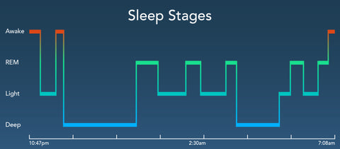 Sleep Stages Chart