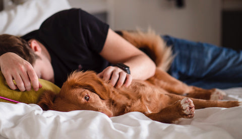 Sleeping with a dog in bed