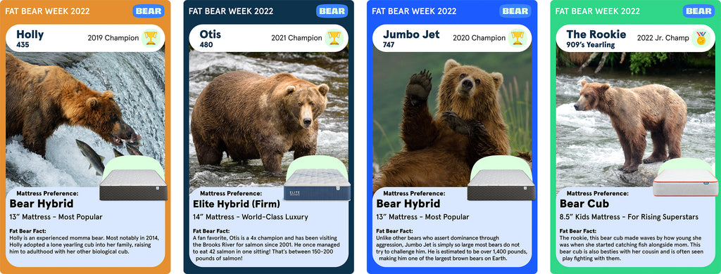 Fat Bear Week Trading Cards