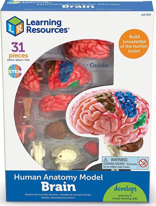 Learning Resources STEM Explorers Brainometry - 34 Pieces, Ages 5+ STEM  Toys for Kids, Brain Teaser Toys and Games, Kindergarten Games