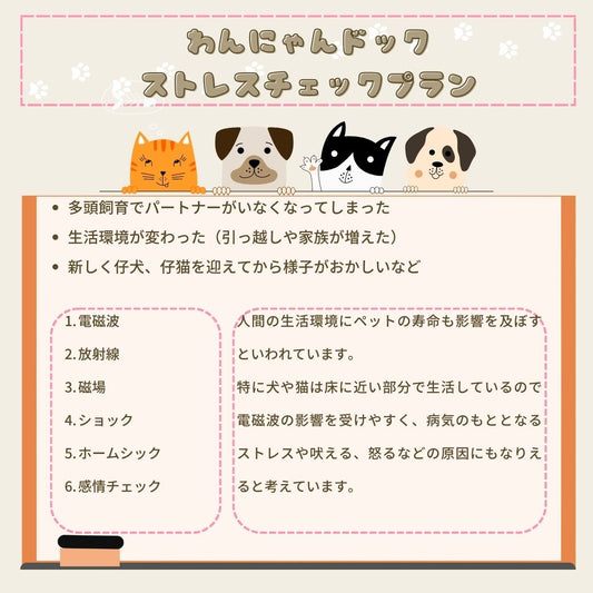 犬 猫用イメディスで健康管理 イメディスアニマル