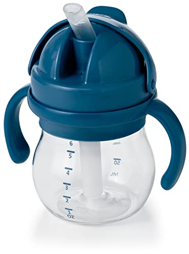 OXO Strive 24oz Wide Mouth Water Bottle with Straw Lid - Slate