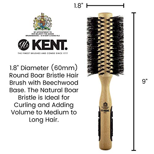 Kent natural shine Brush, Oval Head, Pure Bristle, 1 Count – Zecoya