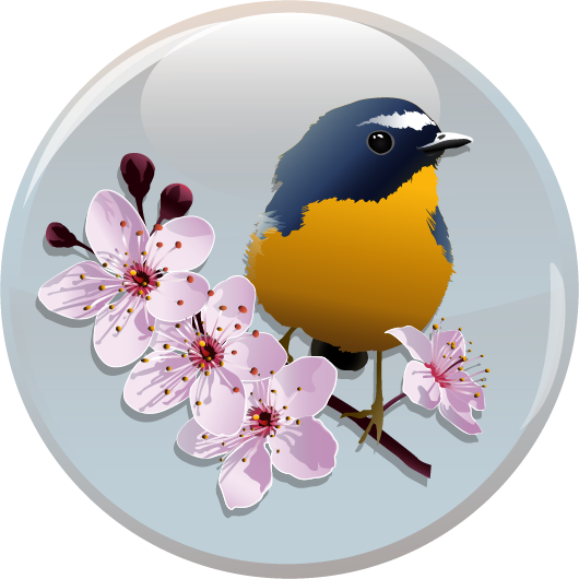 Frühling und Vogel- Button