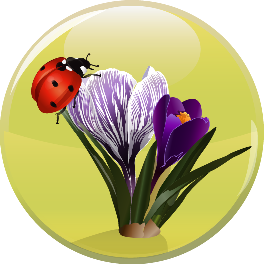 Marienkäfer mit Blume Button