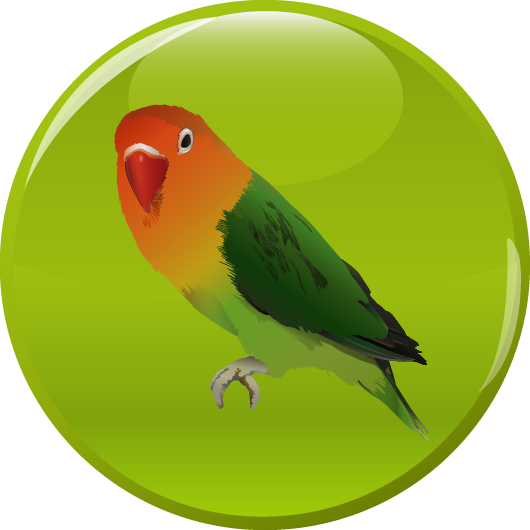Papagei Button