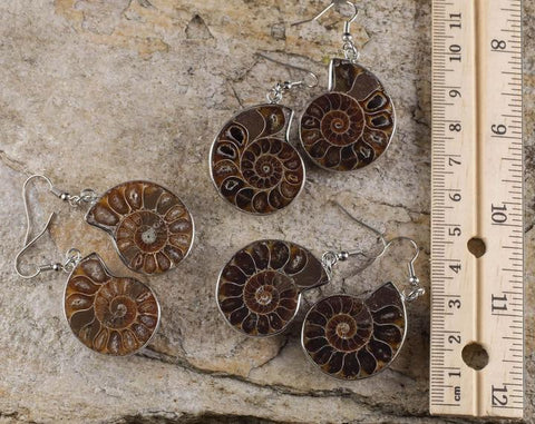 everything_soulful_ammonite-fossil-earrings