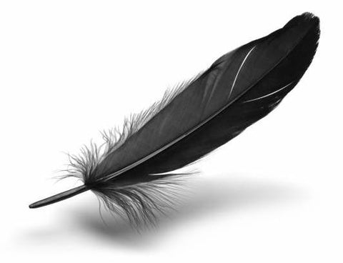 everything_soulful_black_feather