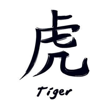 White tiger by Cheeraw on DeviantArt  Tiger tattoo design Japanese tiger  tattoo Tiger illustration