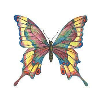  birdofparadiseplant butterfly tattoo tattooart tattooartist   TikTok
