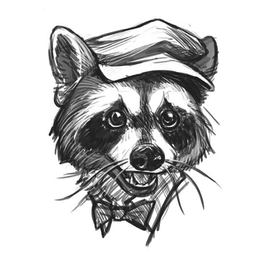 raccoon skull Sticker for Sale by alilynn15  Redbubble