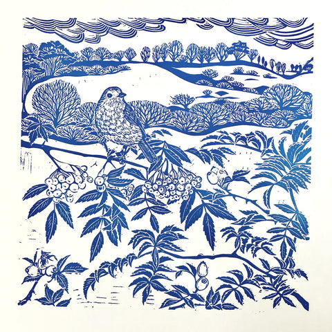 Claire Armitage artist, lino prints of West Cornwall's natural world