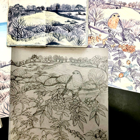 Claire Armitage artist, sketchbook pages that inspire lino prints of West Cornwall's natural world