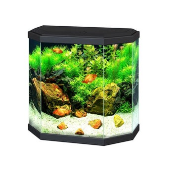 Ciano Aqua 20 With LED Light – Bradlands Pet Supplies