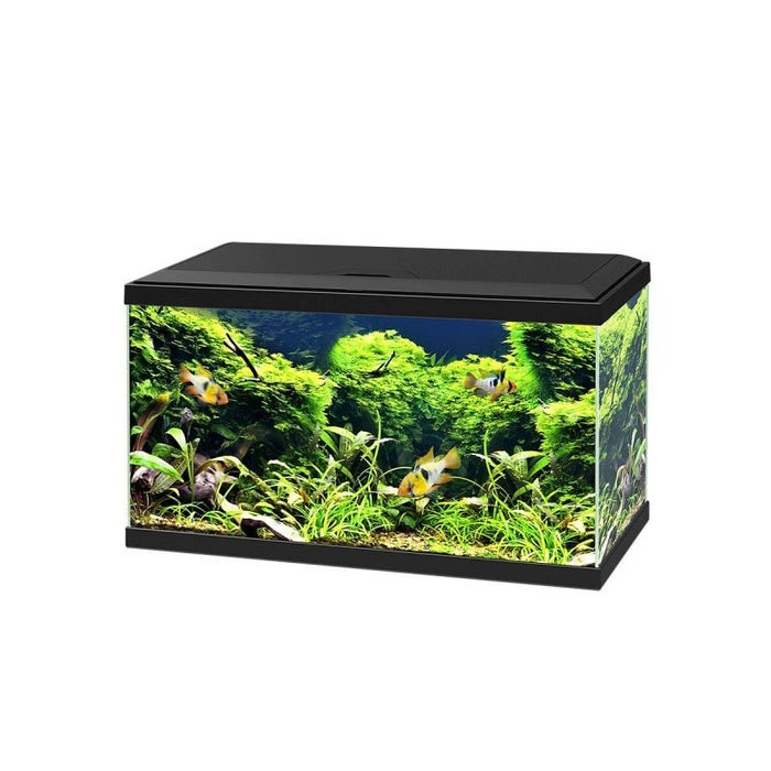 Ciano Aquarium Aqua With Lights & Black Lid 60cm x x 33.5cm Wi — Newlands Garden Centre