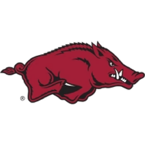 Arkansas Razorbacks